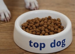 Topdog - dog bowl