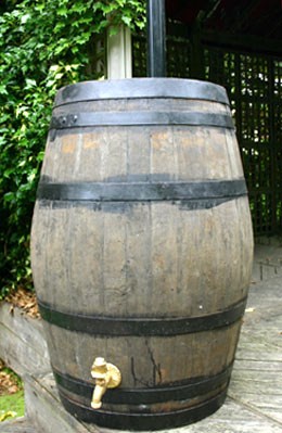 Large oak whiskey barrel - water butt