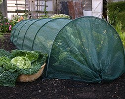  Giant easy net tunnel