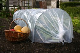 Large polytunnel cloche