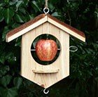 oak-apple-suet-bird-feeder