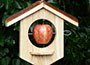 oak-apple-suet-bird-feeder-fsc-timber