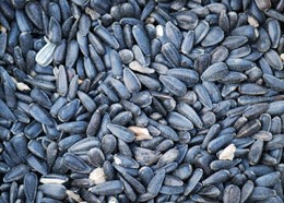 Black sunflower bird seed 12.75kg (28lbs)