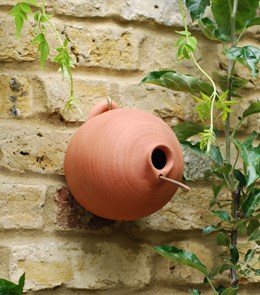 Blue tit terracotta bird pot