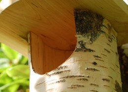 Silver birch log robin box