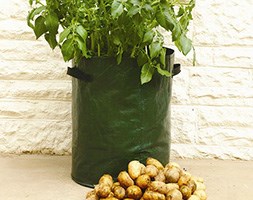 Potato planter bags - 3 Pack