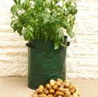 potato-planter-bags-3-pack