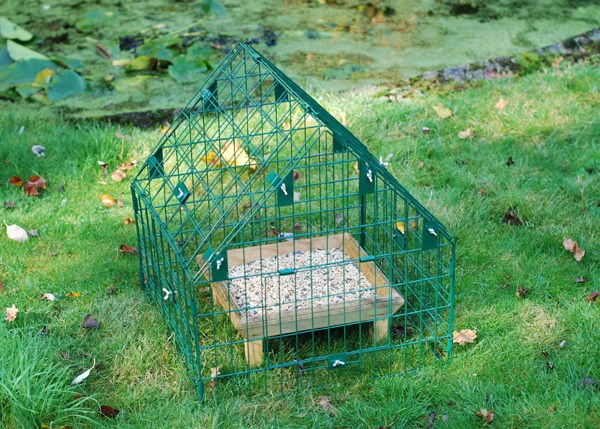 Sanctuary for ground feeding birds Sanctuary for ground feeding birds