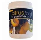 summer-citrus-feed
