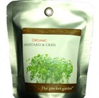 organic-mustard-and-cress--pocket-garden