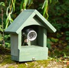 wildlife-surveillance-camera-fsc-timber