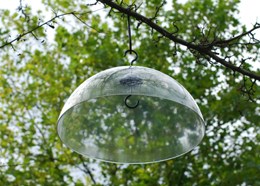 Squirrel baffle
