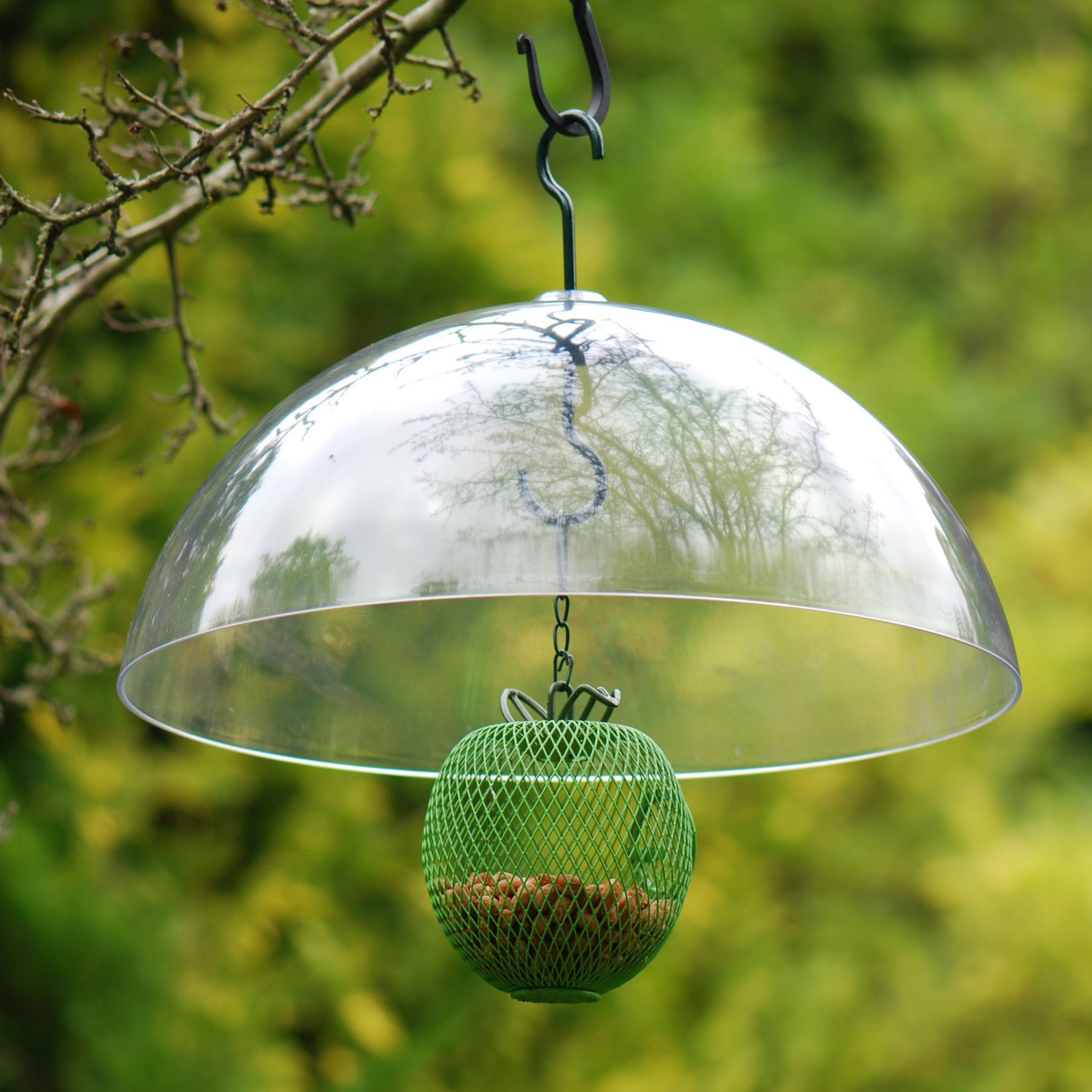 Squirrel baffle