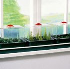 trio-top-propagator