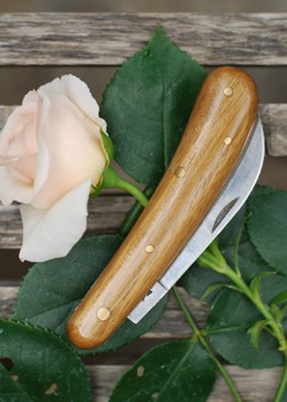 Tina light pruning knife - model tina 613
