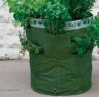 kitchen-herb-patio-planter