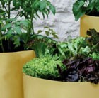 vegetable-patio-planters