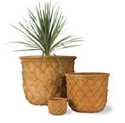 pineapple-pot