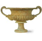 french-tazza-urn