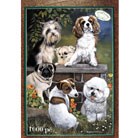 little-dogs-jigsaw