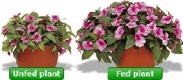 8 bags of moisture control compost - miracle Gro 50 litre bags