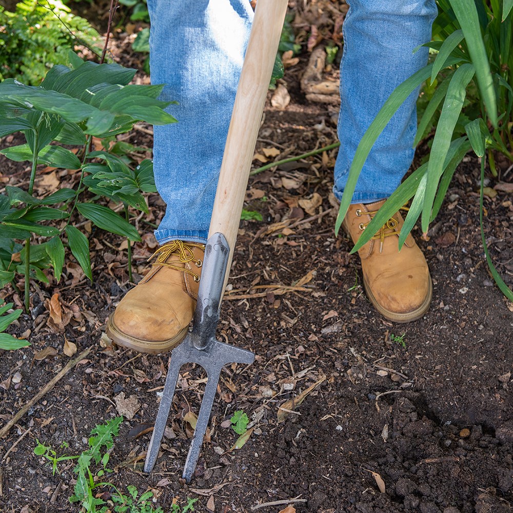 De Wit two-pronged weeder / rose fork