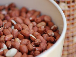 Bird feed storage bin