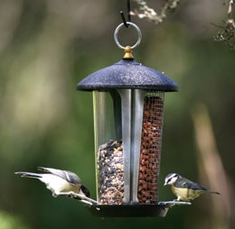 Dual Bird Feeder for Peanuts and Seed