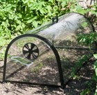 kitchen-garden-cloche