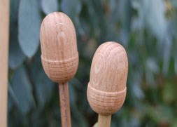Scottish oak acorn caps