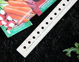 Seed and plant spacing rule