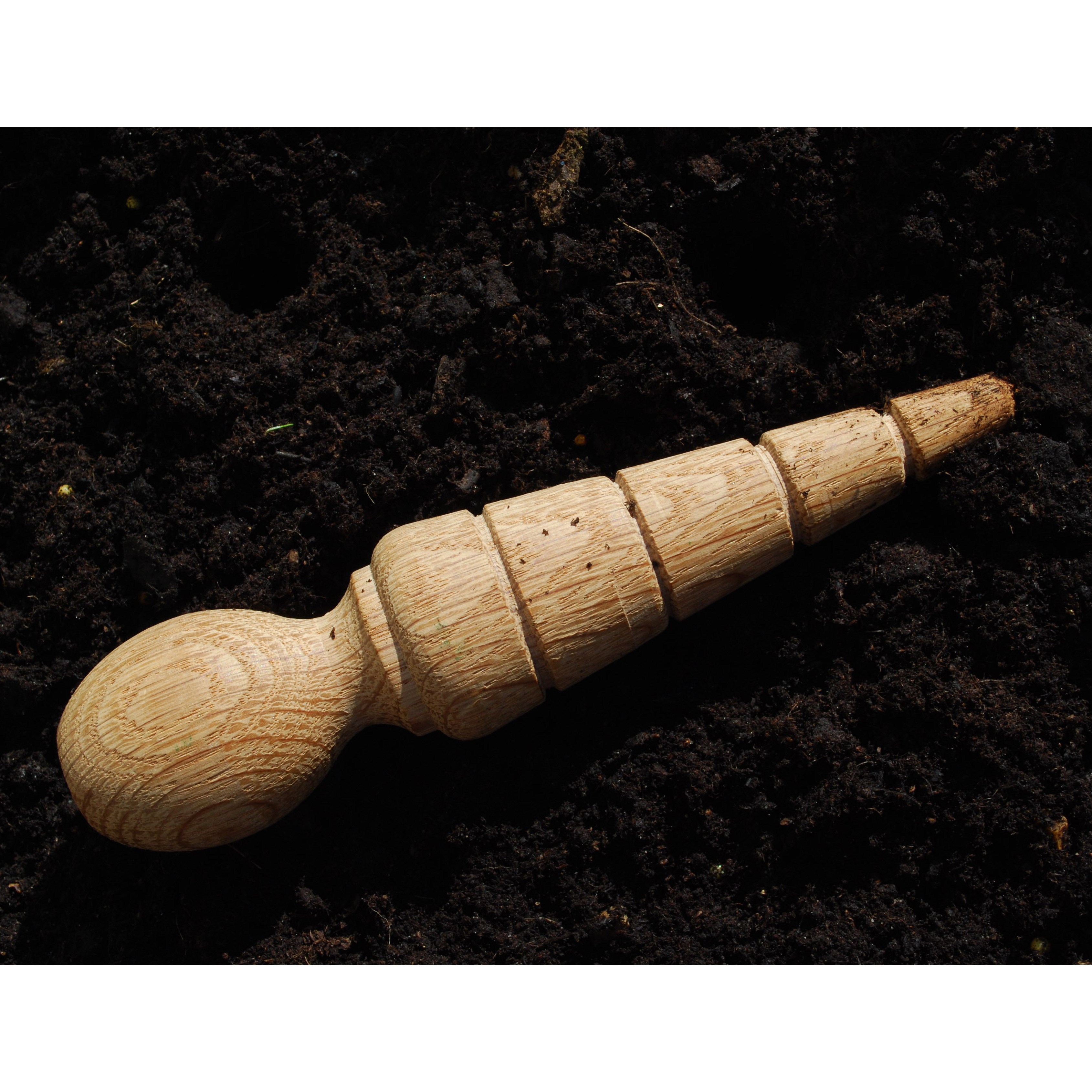 Beech dibber