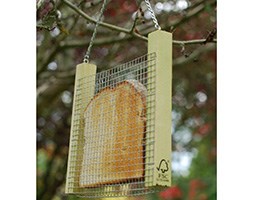 Toast holder for feeding birds