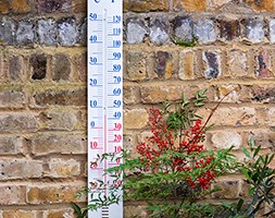Thermometer
