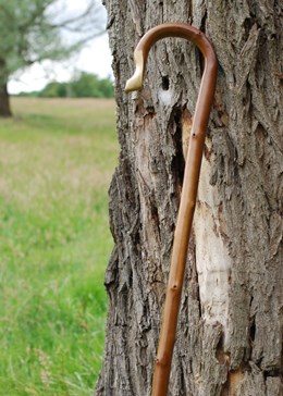 Chestnut shepherd's crook