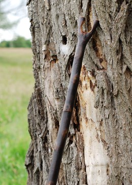Chestnut thumbstick, with bark