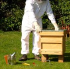 beekeeping-hive-and-accessories-kit