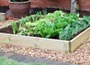  Timber Grow Bed