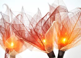 Brown indoor leaf skeleton LED lights