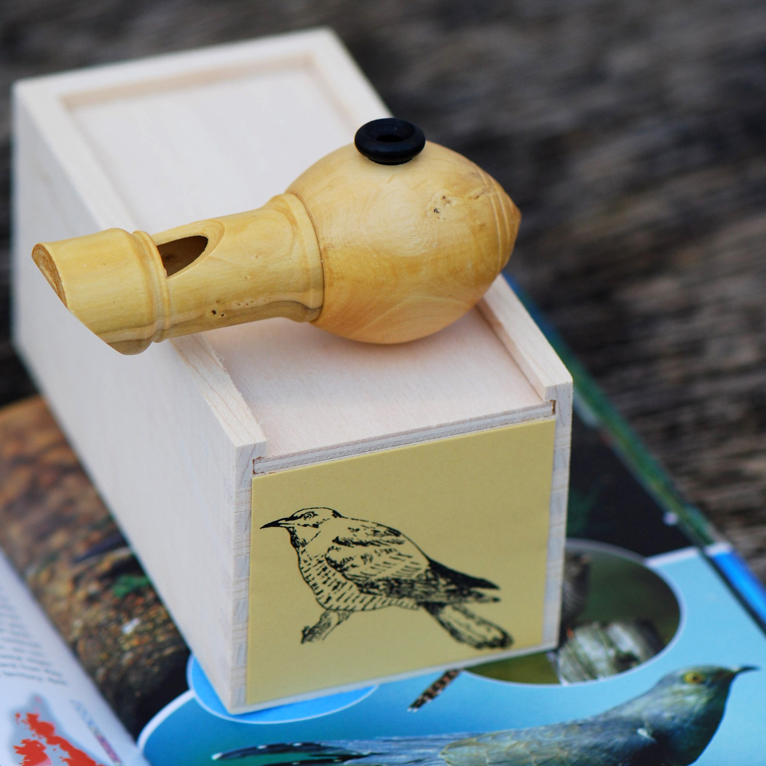 Click here to view information for&nbsp;Cuckoo Bird Call
