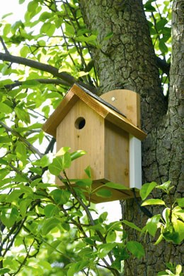 Camera nest box