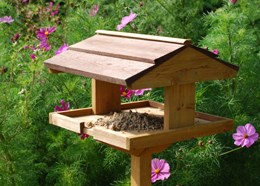 Self assembly bird table