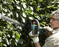 Bosch hedge trimmer 54cm 36 volt cordless lithium ion
