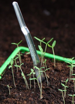 Seedling transplanting widger