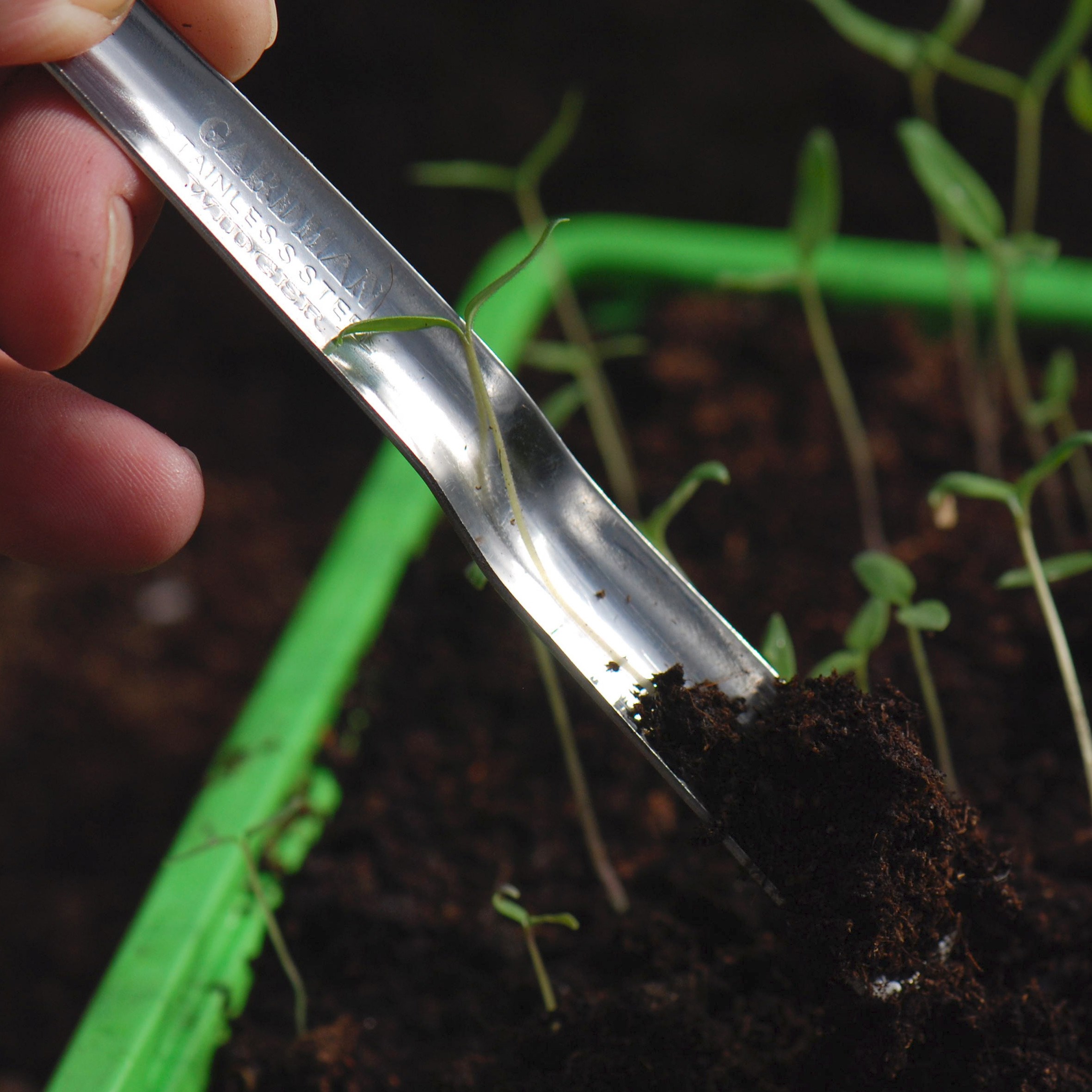 Seedling transplanting widger