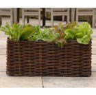 salad-planting-bag-with-natural-willow-surround