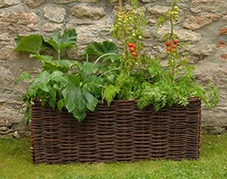 Vegetable planting bag with natural willow Surround