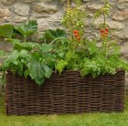 vegetable-planting-bag-with-natural-willow-surround