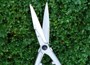 Lightweight topiary hedge shears