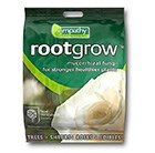 rose-rootgrow